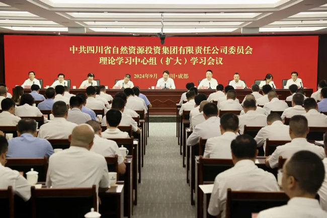 集团专题传达学习省委十二届六次全会精神